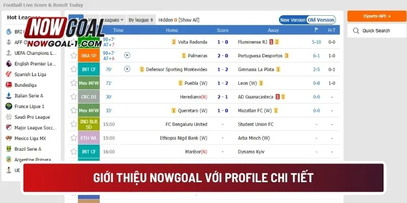 Giới thiệu NowGoal với profile chi tiết