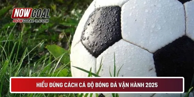 Hiểu đúng cách cá độ bóng đá vận hành 2025