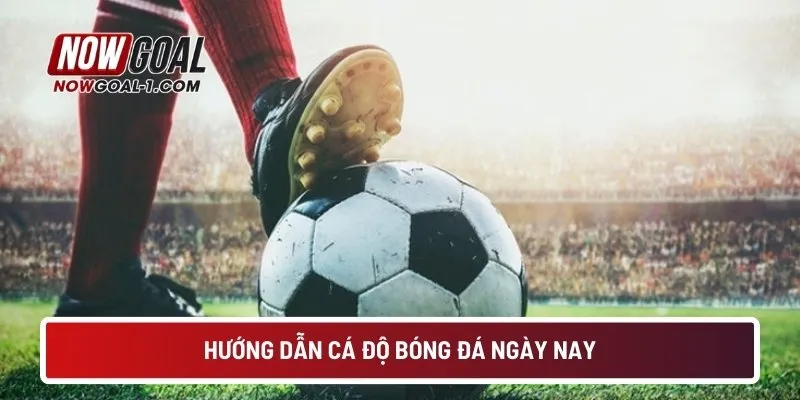 Hướng dẫn cá độ bóng đá ngày nay