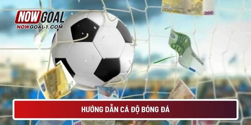 huong-dan-ca-do-bong-da