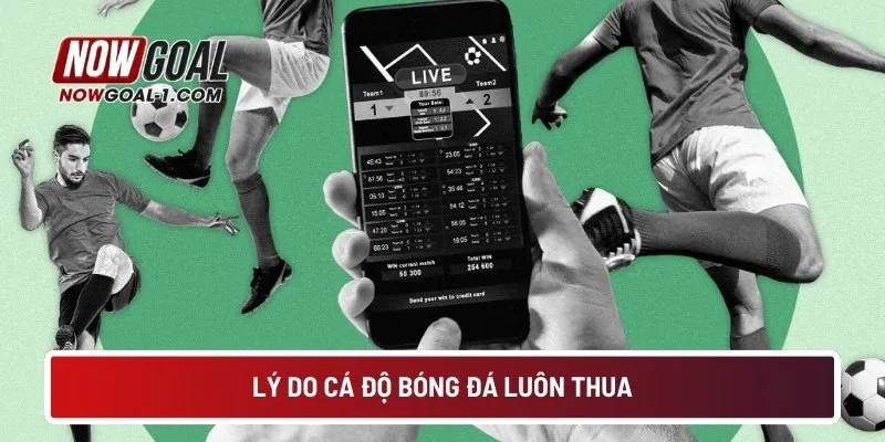 Lý do cá độ bóng đá luôn thua