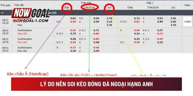 Lý do nên soi kèo bóng đá Ngoại hạng Anh