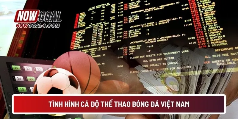 Tình hình cá độ thể thao bóng đá Việt Nam