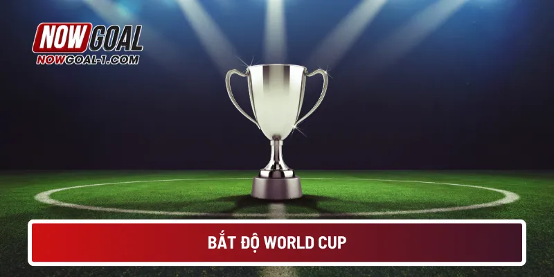 bat-do-world-cup