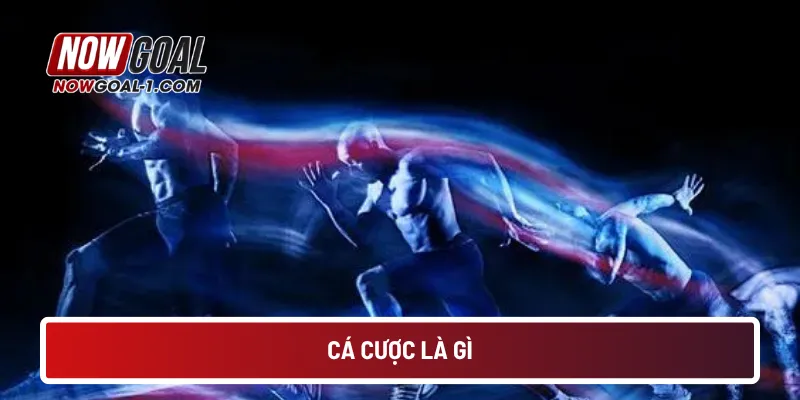 ca-cuoc-la-gi