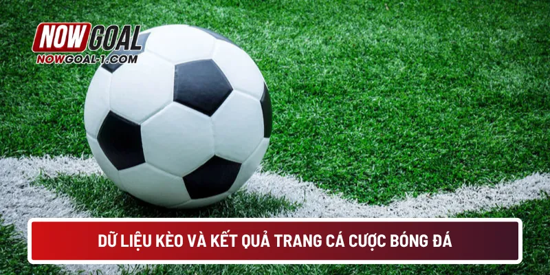 Dữ liệu kèo và kết quả trang cá cược bóng đá