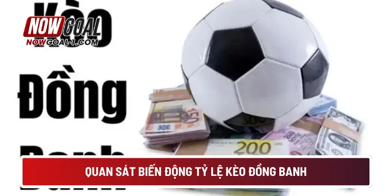 Quan sát biến động tỷ lệ kèo đồng banh