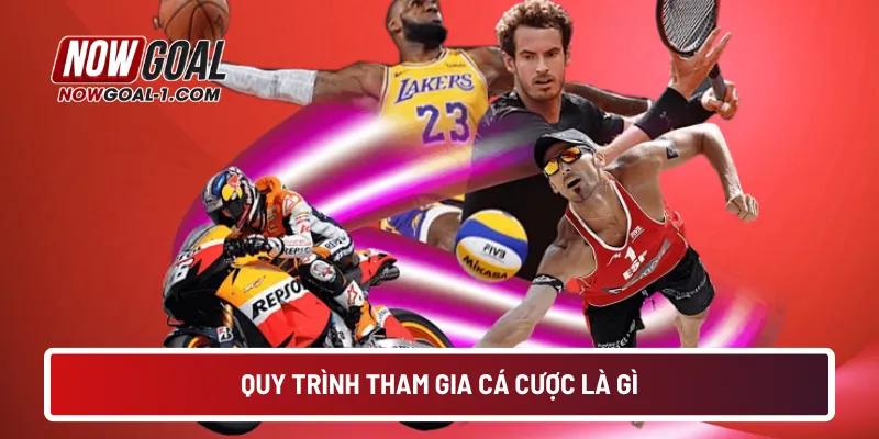 Quy trình tham gia cá cược là gì