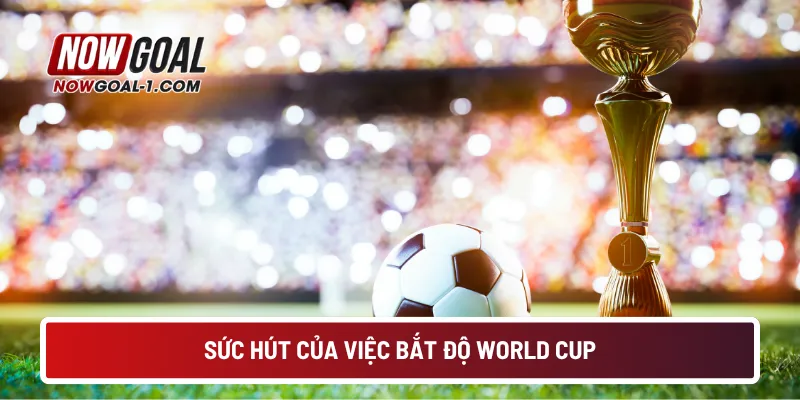 Sức hút của việc bắt độ World Cup