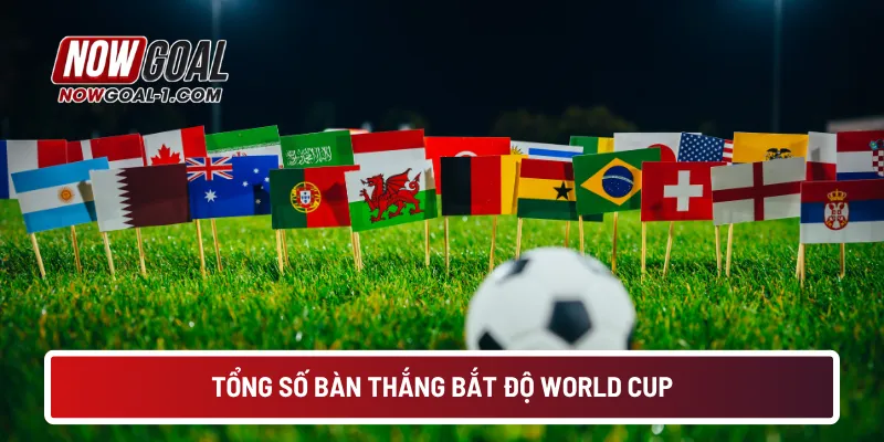 Tổng số bàn thắng bắt độ World Cup