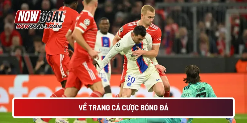 Về trang cá cược bóng đá